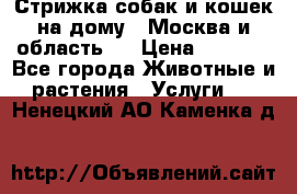 Стрижка собак и кошек на дому.  Москва и область.  › Цена ­ 1 200 - Все города Животные и растения » Услуги   . Ненецкий АО,Каменка д.